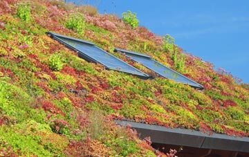Amotherby living roof systems