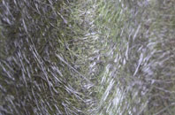 Amotherby fibreglass roof work