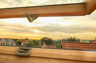 rated Amotherby roof window companies